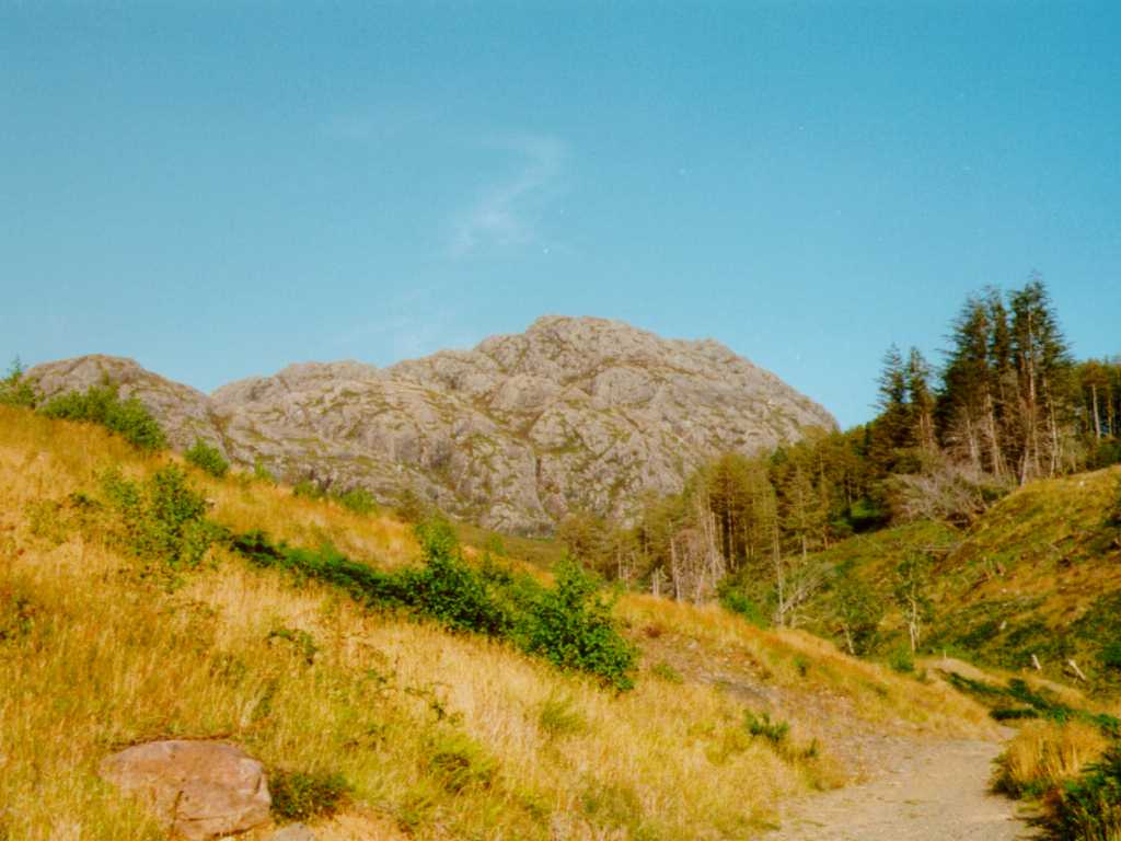 Bildtitel (xxxxx Bytes)