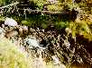 Bild (xxxx Bytes)