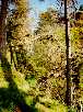 Bild (xxxx Bytes)