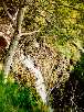 Bild (xxxx Bytes)