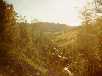 Bild (xxxx Bytes)