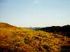 Bild (xxxx Bytes)